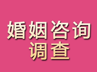 田家庵婚姻咨询调查